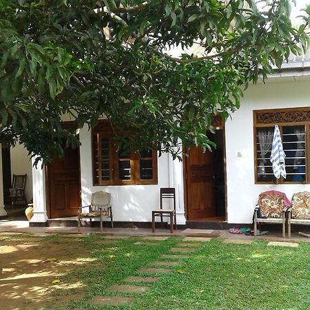 Hôtel Rose Blossom à Mirissa Extérieur photo